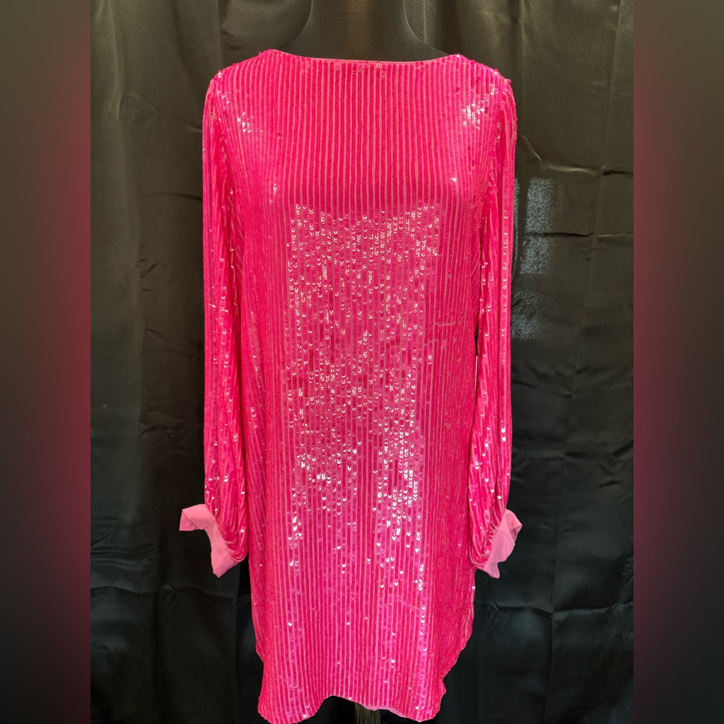 Pink Silk Sequin Long Sleeve Dress